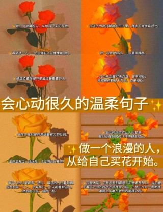 生活那些阳光又温柔的高级文案