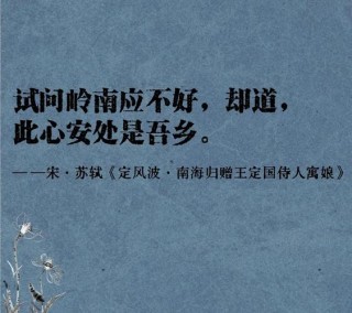 一念风霜起，一念浮生醉，落雪为安，流年无恙