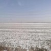 弱雪一场，田地一亩
