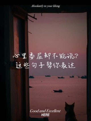 我以前以为秘密不能说，现在才知道委屈也不能说