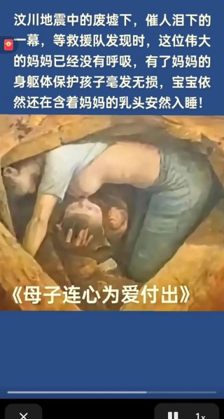 无法停止的母爱