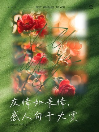 心灵的港湾，情的漩涡，彼此依偎，共度风雨。