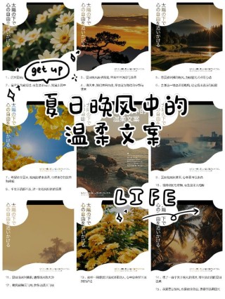 夏日晚风的文案短句（夏日晚风的文案短句英文）