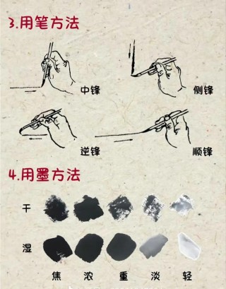 从入门开始重拾画笔