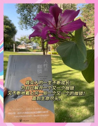 毛姆笔下经典的10个句子，揭露人性的枷锁