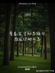 名人名言青春励志，青春励志，名人名言的力量