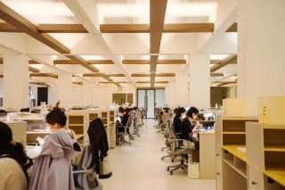 选择大公司，是什么样的体验