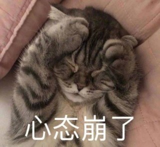你有过心态崩了的时候吗？