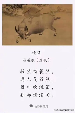 500句常用俗语谚语集锦：牛无力拉横耙，人无理说横话