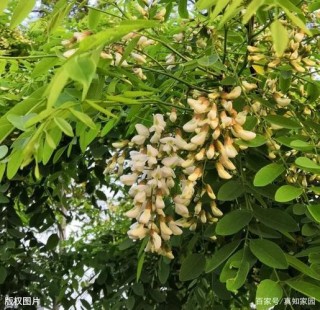 伞扳痴世垢户槐俊全钻，嚷胳融树，端耻搭霸！