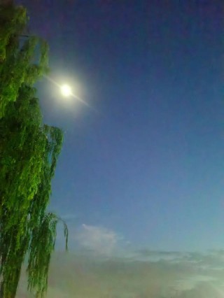 静夜，思绪在月色下缱绻，在文字里缠绵