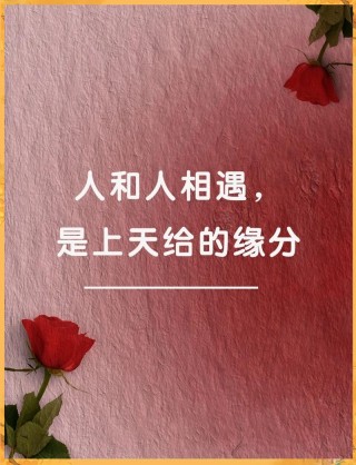 有一种缘分，叫认识你真好，爱了永不后悔，结果不重要