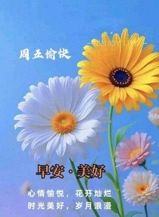 周五早安精美温馨祝福：生活航程有彩云清风繁星，愿你喜悦盈心