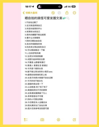 30句朋友圈晒自拍用的高质量文案