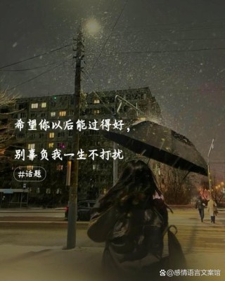 唯美语录，本以为可以相伴到老，你却中途退票离场