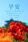 为自己而活的早安心语：天生丽质，不如天生励志