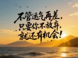 弯下腰，只为一个昂起头的机会