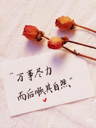 生活就是这样简单语录 生活就是这样简单说说