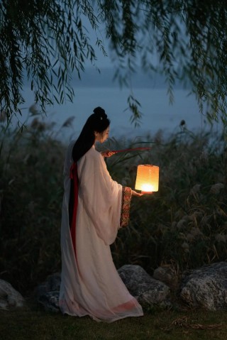 任流年乱了浮生