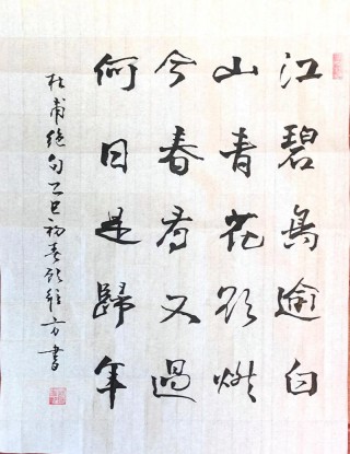 琼枝玉树无人见，一夜春风忽见雪