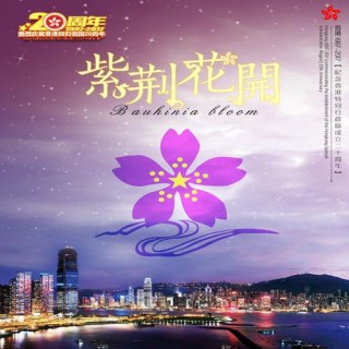 用心聆听紫荆花开的声音