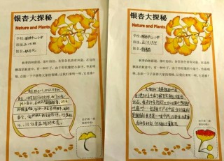 银杏树叶——讲述着秋天的童话