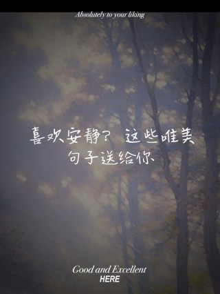 安静下来的唯美句子（安静的短句唯美）