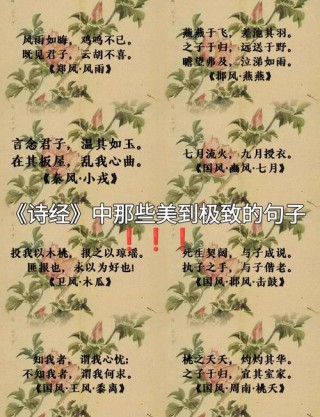 《诗经》最美30句，美到骨子里