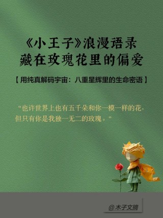 小王子里关于玫瑰的名言（小王子独一无二玫瑰语录）