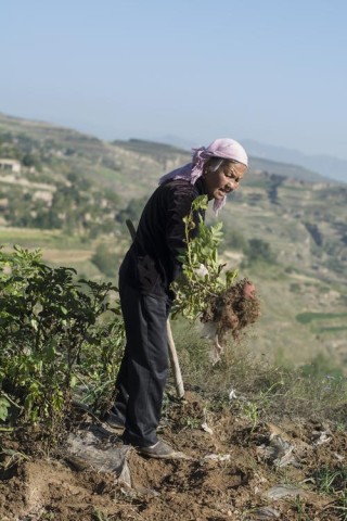 和奶奶一起干活