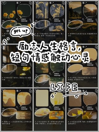 人生最经典的格言，每一句都独一无二，建议转发到朋友圈