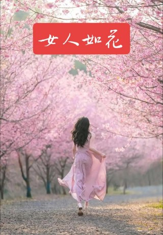 女人如花的唯美句子