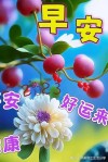 早安心语~天天开心，时时快乐，平安健康就是幸福
