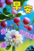 早安心语~天天开心，时时快乐，平安健康就是幸福