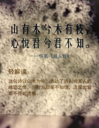 诗歌—把爱给了你，请寂寞留下。