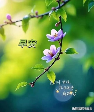 早安心语 阳光如此明媚，希望你的心情也一样