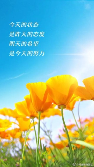 励志的话正能量，励志正能量，激发无限潜能！