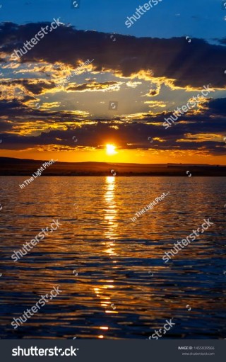 露水与黄昏之间