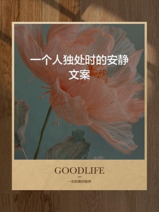 我用一段安静时光来忧伤