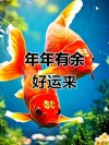 年年有鱼