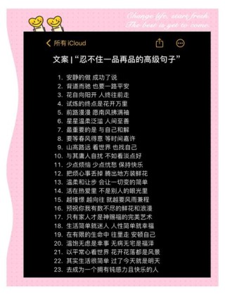 很小众却很惊艳的句子，惊艳小众之句，独特之美尽在其中。