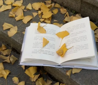 35-45 岁女性的黄金十年：别活成附属品，这样经营才是真清醒