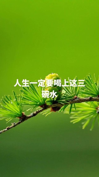 半杯水的人生