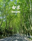 梧桐树的南京