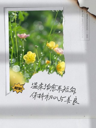 温暖治愈的短句文案