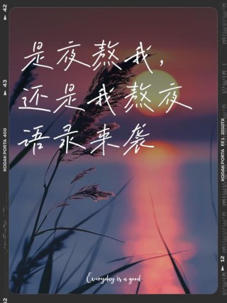 关于熬夜的朋友圈文案