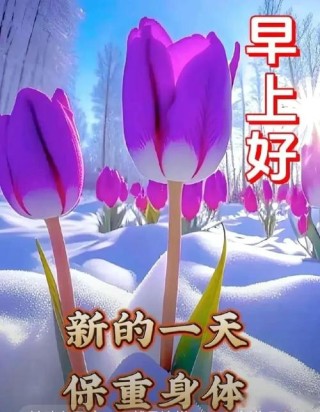 南方小年最新早上好问候语短句，漂亮的冬天温暖感动的早上好祝福语句子，腊月二十四早上好短语暖心图片