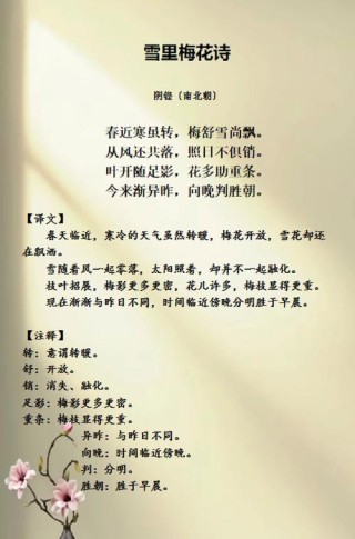 35首大寒诗词，飞雪漫天，寒梅独放，等下一个春天