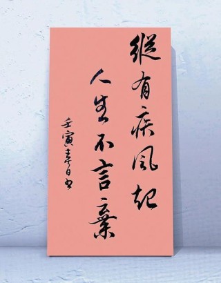 纵有疾风来，人生不言弃