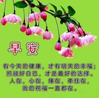 清晨早安早上好精美短句心语，一声问候，满怀祝福